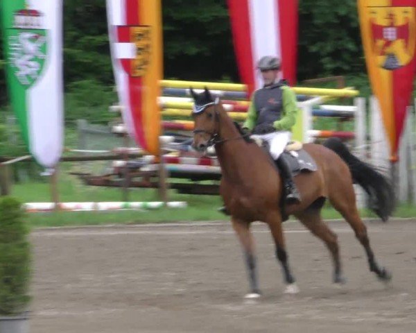 Reitturnier Tillmitsch 2022