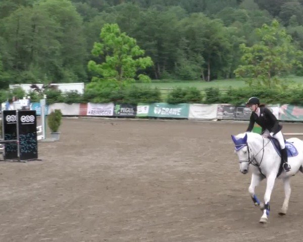 Reitturnier Tillmitsch 2022