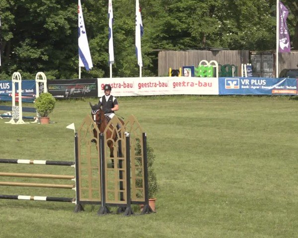 Reitturnier Scharnebeck 2024
