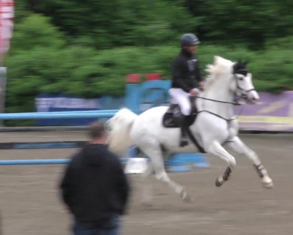 Reitturnier Tillmitsch 2022