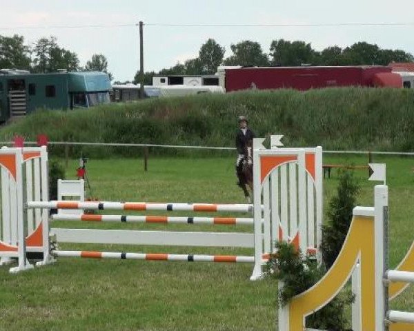 Großes Sommerturnier in Hille 2012