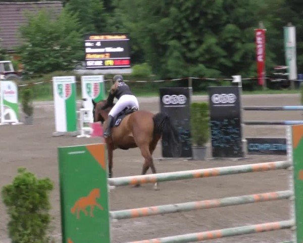 Reitturnier Tillmitsch 2022