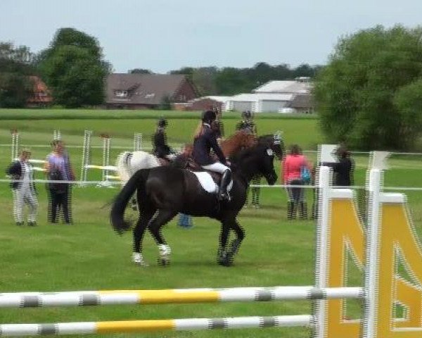 Großes Sommerturnier in Hille 2012