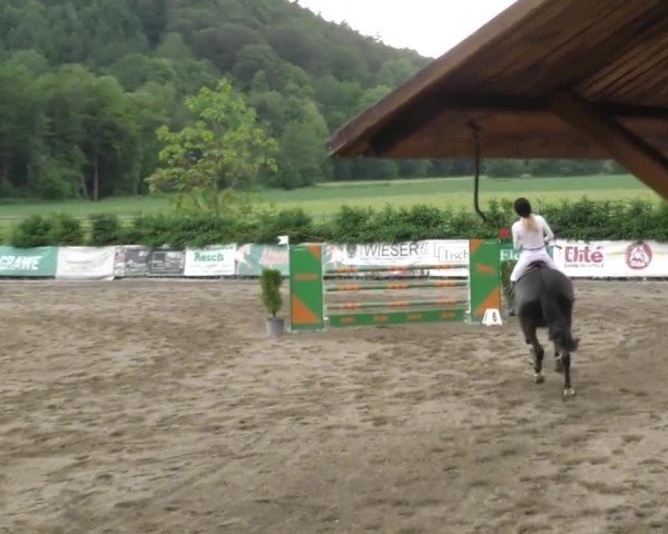 Reitturnier Tillmitsch 2022
