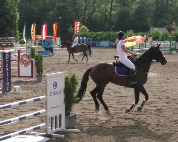 Reitturnier Tillmitsch 2022