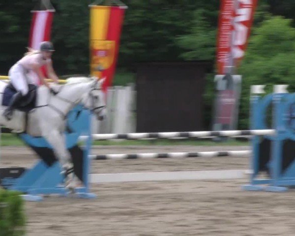 Reitturnier Tillmitsch 2022