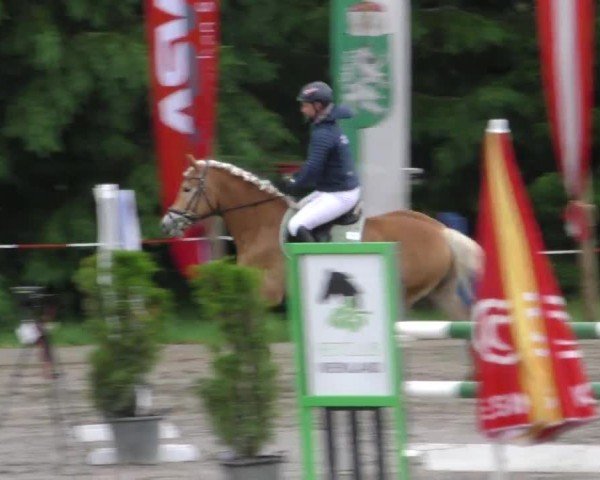 Reitturnier Tillmitsch 2022