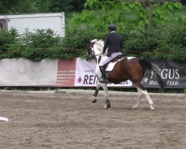 Reitturnier Tillmitsch 2022