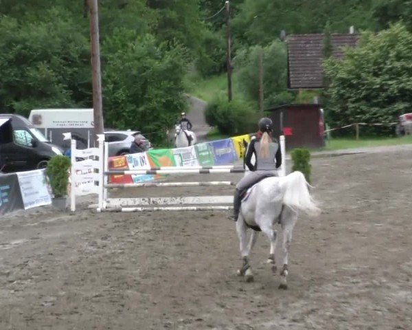 Reitturnier Tillmitsch 2022
