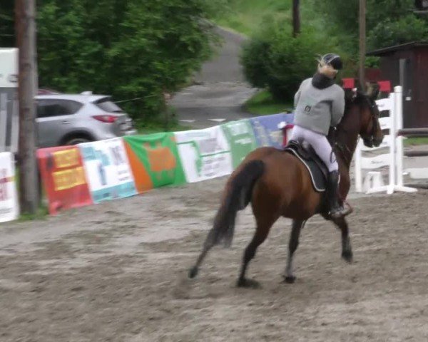Reitturnier Tillmitsch 2022