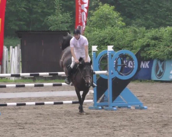 Reitturnier Tillmitsch 2022
