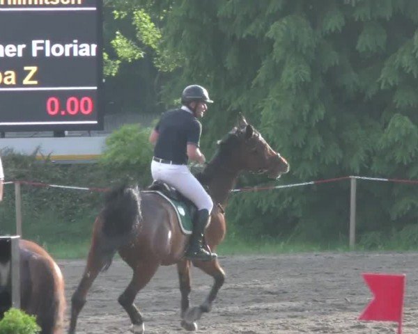 Reitturnier Tillmitsch 2022