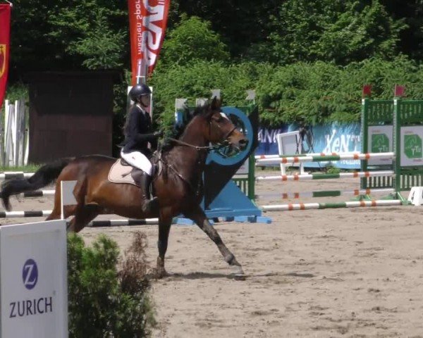 Reitturnier Tillmitsch 2022