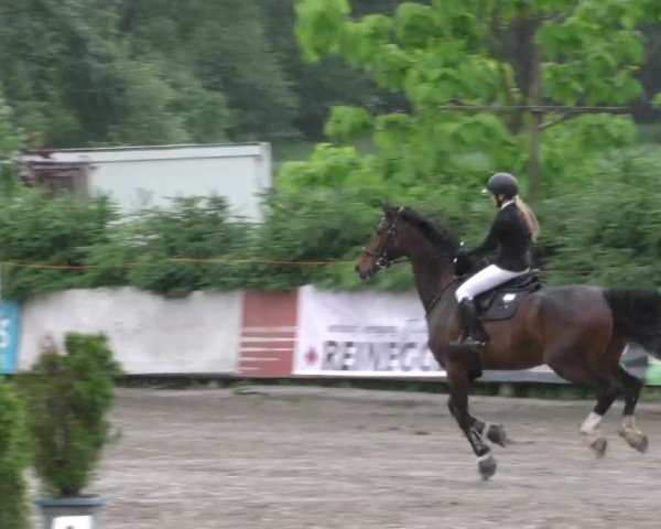 Reitturnier Tillmitsch 2022