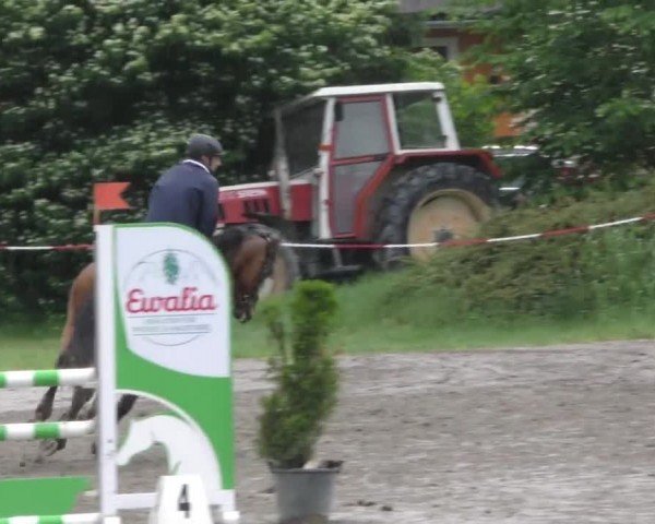 Reitturnier Tillmitsch 2022