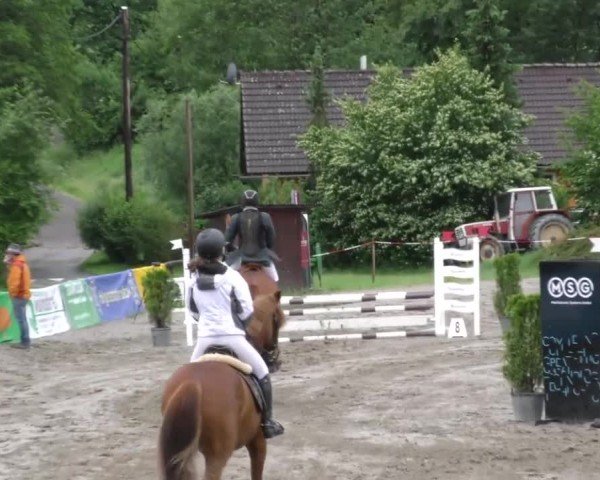 Reitturnier Tillmitsch 2022
