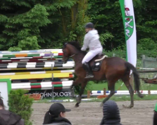 Reitturnier Tillmitsch 2022