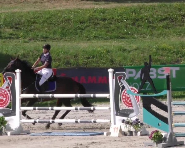 Reitturnier Zeltweg-Farrach 2022