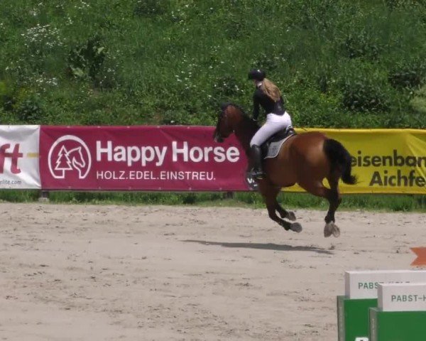 Reitturnier Zeltweg-Farrach 2022