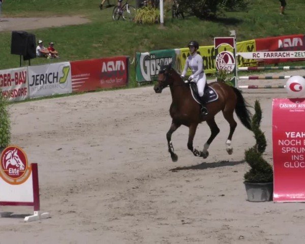 Reitturnier Zeltweg-Farrach 2022