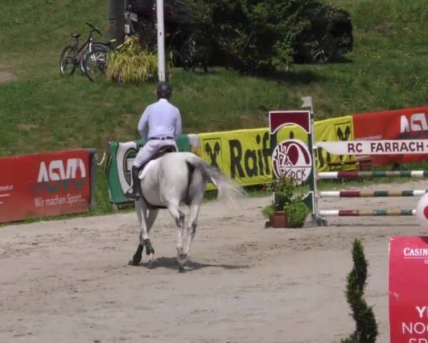 Reitturnier Zeltweg-Farrach 2022