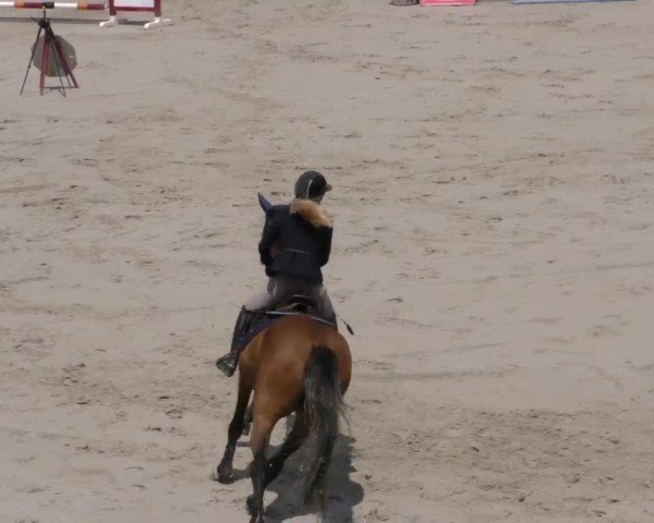 Reitturnier Zeltweg-Farrach 2022