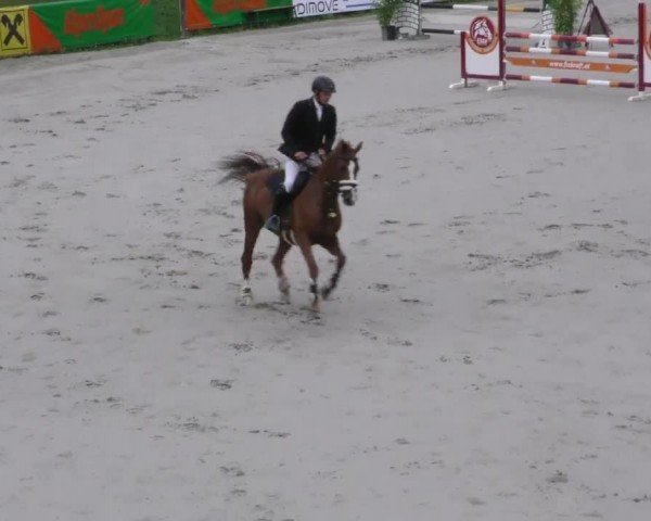 Reitturnier Zeltweg-Farrach 2022