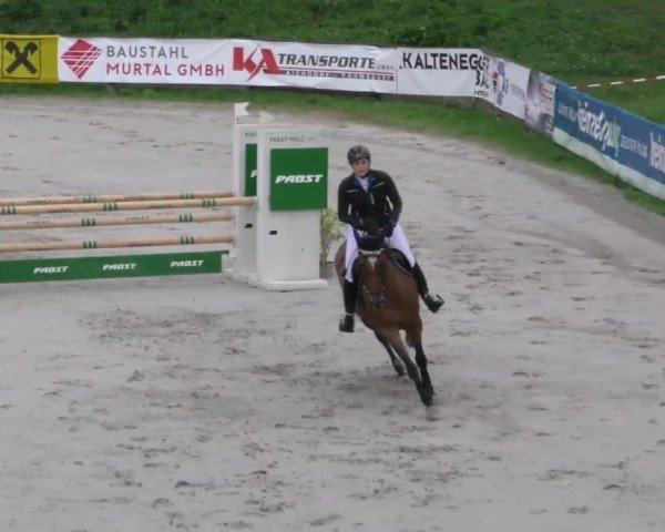 Reitturnier Zeltweg-Farrach 2022