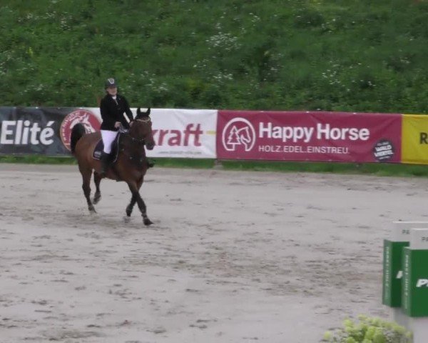 Reitturnier Zeltweg-Farrach 2022