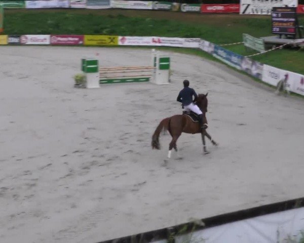 Reitturnier Zeltweg-Farrach 2022