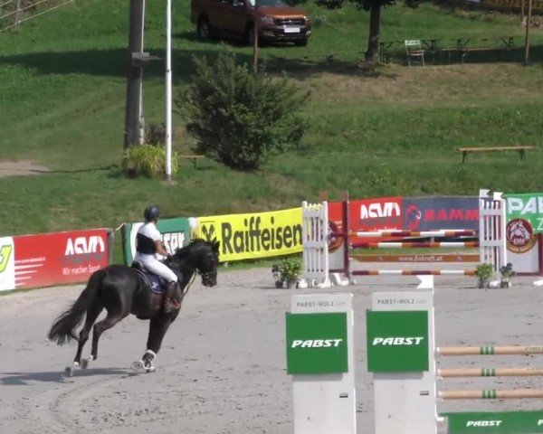 Reitturnier Zeltweg-Farrach 2022