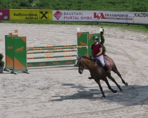 Reitturnier Zeltweg-Farrach 2022