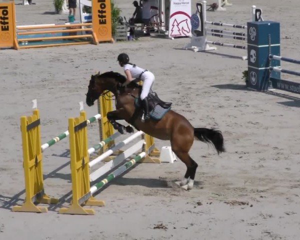 Reitturnier Zeltweg-Farrach 2022