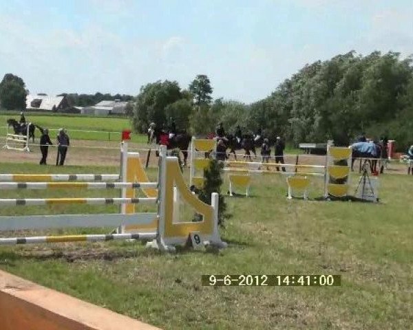 Großes Sommerturnier in Hille 2012