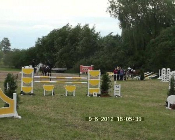 Großes Sommerturnier in Hille 2012