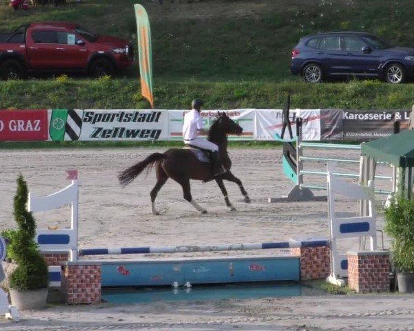 Reitturnier Zeltweg-Farrach 2022