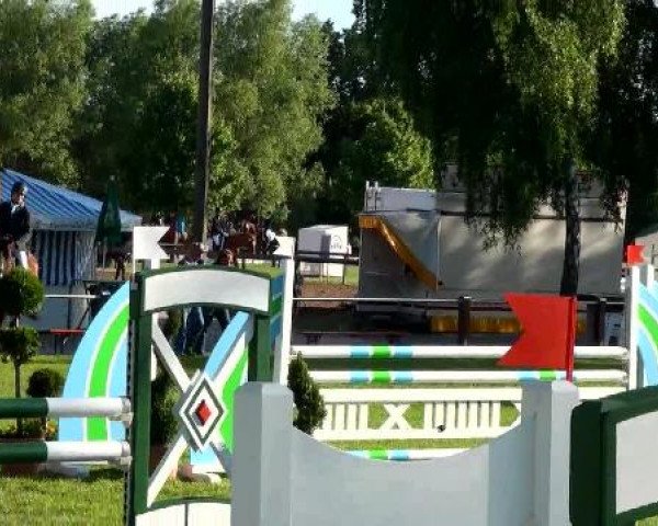 Großes Sommerturnier in Hille 2012