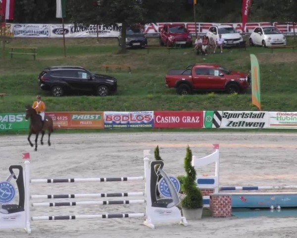 Reitturnier Zeltweg-Farrach 2022