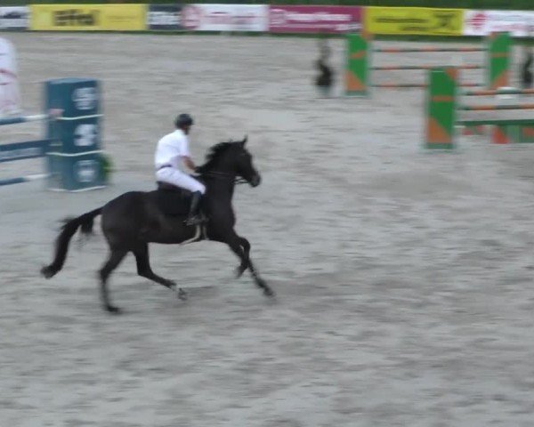 Reitturnier Zeltweg-Farrach 2022
