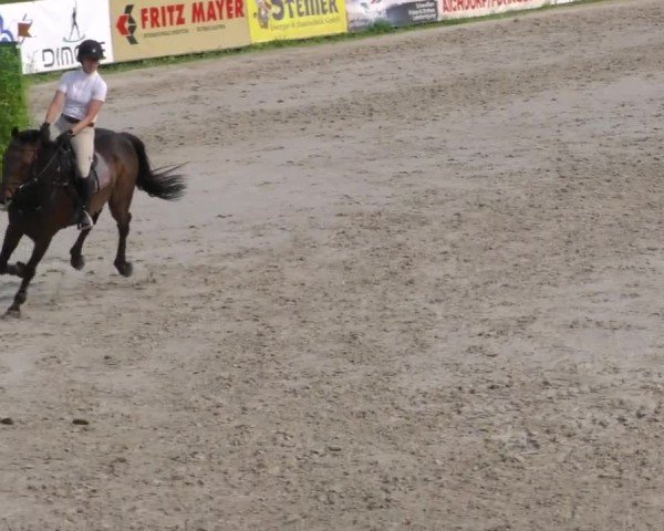 Reitturnier Zeltweg-Farrach 2022