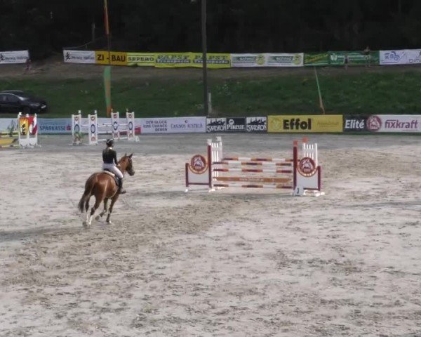 Reitturnier Zeltweg-Farrach 2022