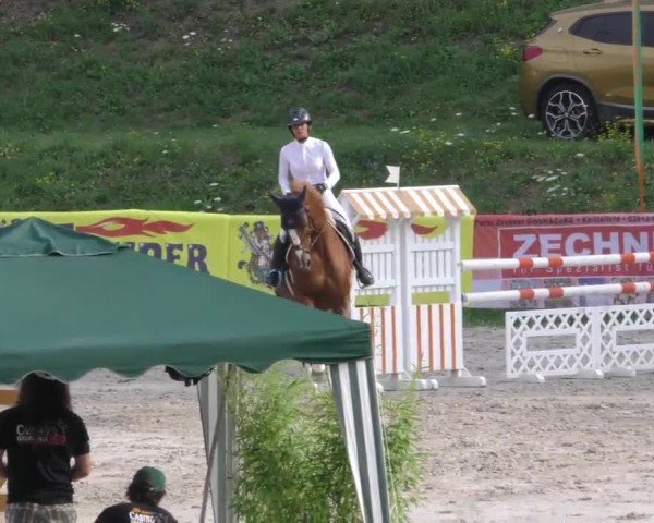 Reitturnier Zeltweg-Farrach 2022