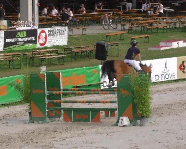 Reitturnier Zeltweg-Farrach 2022