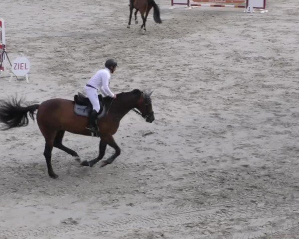 Reitturnier Zeltweg-Farrach 2022