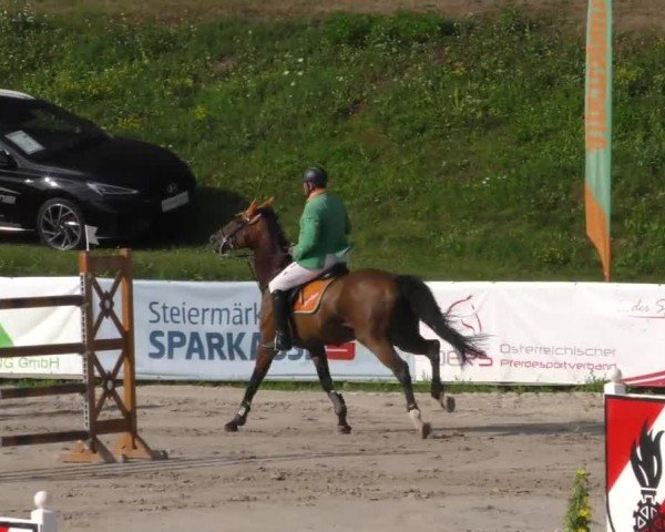 Reitturnier Zeltweg-Farrach 2022