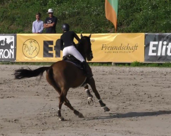 Reitturnier Zeltweg-Farrach 2022