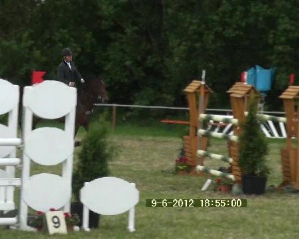 Großes Sommerturnier in Hille 2012