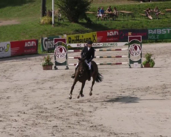 Reitturnier Zeltweg-Farrach 2022
