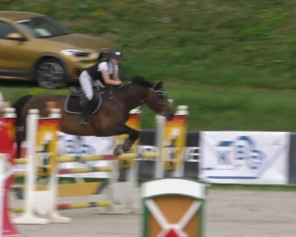 Reitturnier Zeltweg-Farrach 2022