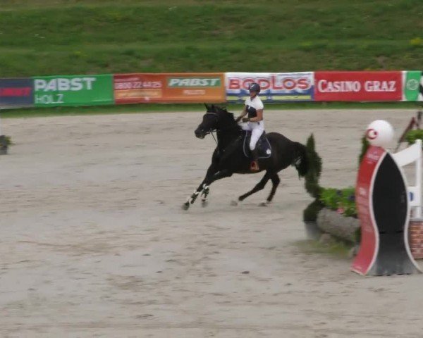 Reitturnier Zeltweg-Farrach 2022